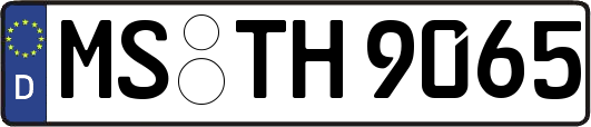 MS-TH9065