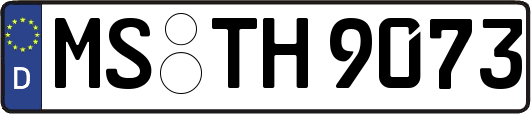 MS-TH9073