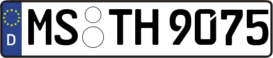 MS-TH9075