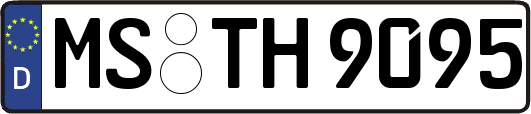 MS-TH9095