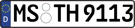 MS-TH9113
