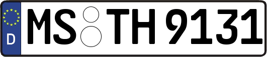 MS-TH9131