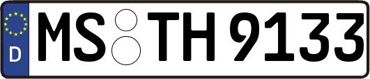 MS-TH9133
