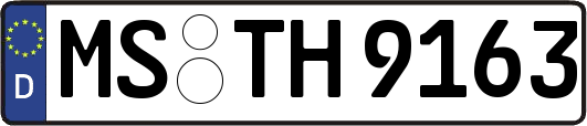 MS-TH9163