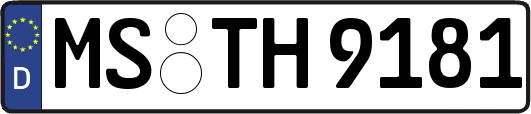 MS-TH9181