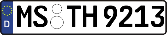 MS-TH9213