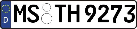 MS-TH9273