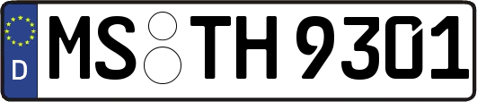 MS-TH9301