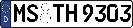 MS-TH9303