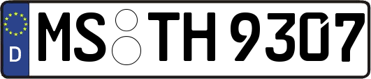 MS-TH9307