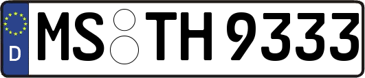 MS-TH9333