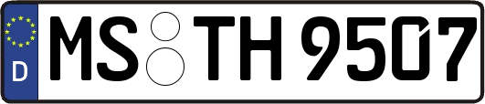 MS-TH9507