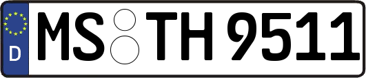 MS-TH9511
