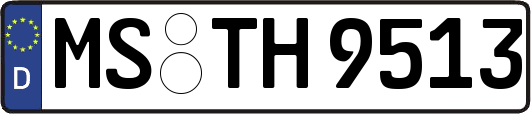 MS-TH9513