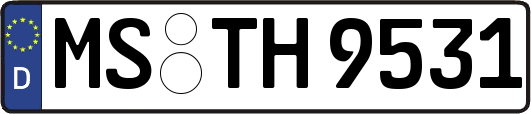 MS-TH9531
