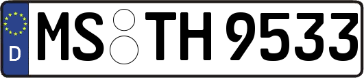 MS-TH9533
