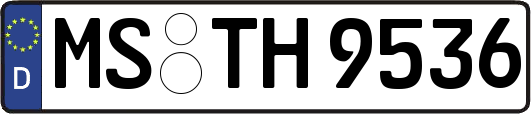MS-TH9536