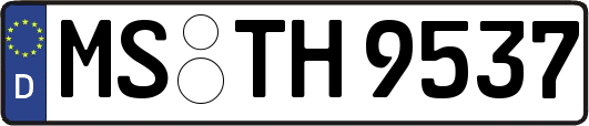 MS-TH9537