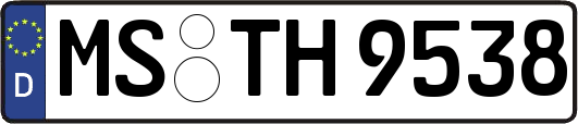 MS-TH9538