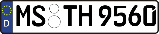 MS-TH9560
