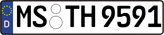 MS-TH9591
