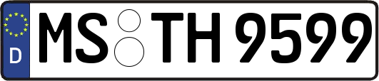 MS-TH9599