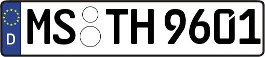 MS-TH9601