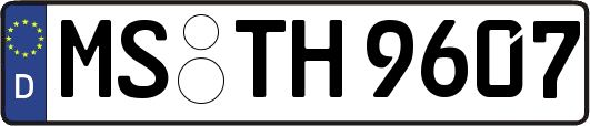 MS-TH9607