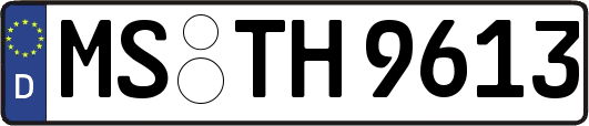 MS-TH9613