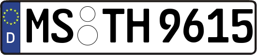 MS-TH9615