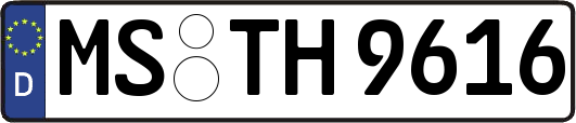 MS-TH9616