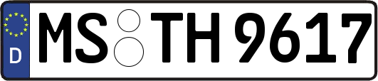 MS-TH9617