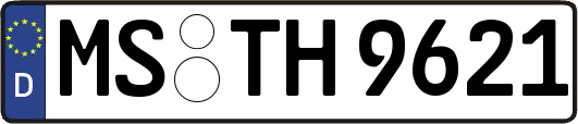 MS-TH9621