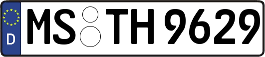 MS-TH9629