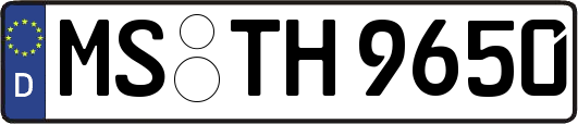 MS-TH9650