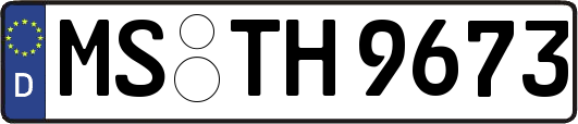 MS-TH9673
