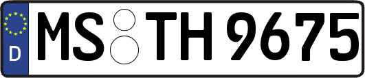MS-TH9675