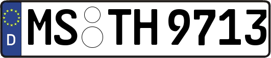 MS-TH9713
