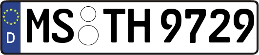 MS-TH9729