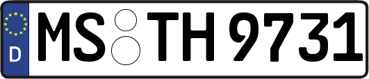 MS-TH9731