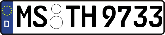 MS-TH9733