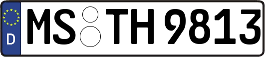 MS-TH9813