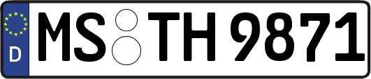MS-TH9871