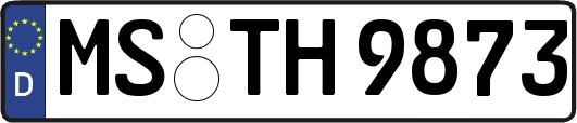 MS-TH9873