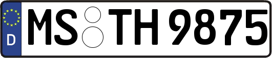 MS-TH9875