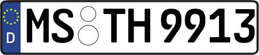 MS-TH9913