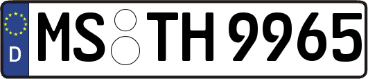 MS-TH9965