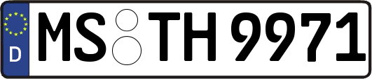 MS-TH9971