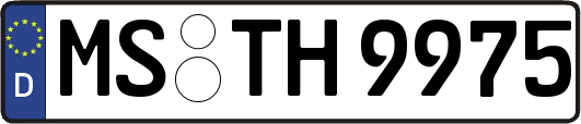 MS-TH9975