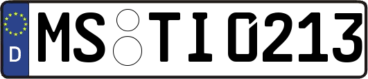 MS-TI0213